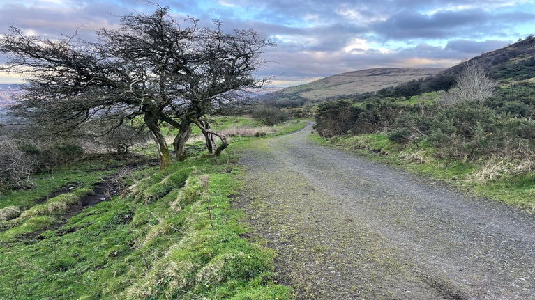 Current unused concrete path